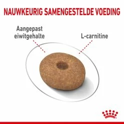 Royal Canin Hondenvoer Light Weight Care Mini 8 Kg -Hond winkel royal canin mini light weight care volwassen hond gezond gewicht kleine hondenrassen hero kibble