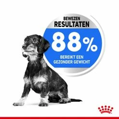 Royal Canin Hondenvoer Light Weight Care Mini 8 Kg -Hond winkel royal canin mini light weight care volwassen hond gezond gewicht kleine hondenrassen hero usp