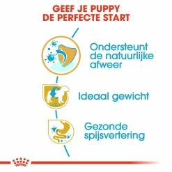 Royal Canin Hondenvoer Mini Schnauzer Puppy 1,5 Kg -Hond winkel royal canin mini schnauzer junior pup hond dwergschnauzer hero usp