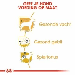 Royal Canin Hondenvoer Poodle Adult 1,5 Kg -Hond winkel royal canin poodle adult volwassen hond poedel vanaf 10 maanden hero usp