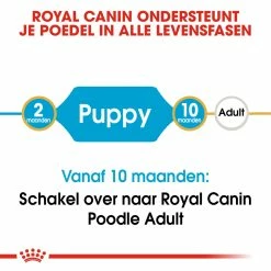 Royal Canin Hondenvoer Poodle Puppy 3 Kg -Hond winkel royal canin poodle junior pup hond poedel hero image 9
