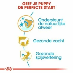 Royal Canin Hondenvoer Poodle Puppy 3 Kg -Hond winkel royal canin poodle junior pup hond poedel hero usp