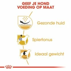 Royal Canin Hondenvoer Pug Adult 1,5 Kg -Hond winkel royal canin pug mopshond adult volwassen hond mopshond vanaf 10 maanden hero usp