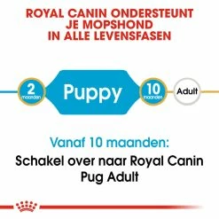 Royal Canin Hondenvoer Pug Puppy 1,5 Kg -Hond winkel royal canin pug mopshond junior pup hond mopshond hero image 9