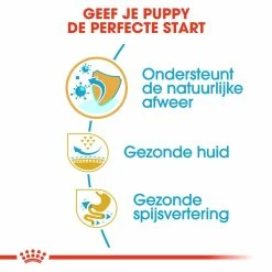 Royal Canin Hondenvoer Pug Puppy 1,5 Kg -Hond winkel royal canin pug mopshond junior pup hond mopshond hero usp