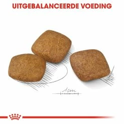 Royal Canin Hondenvoer Relax Care Maxi 9 Kg 7 Royal Canin Hondenvoer Relax Care Maxi 9 Kg -Hond winkel royal canin relax care maxi extra zorg gedrag volwassen grote honden hero kibble