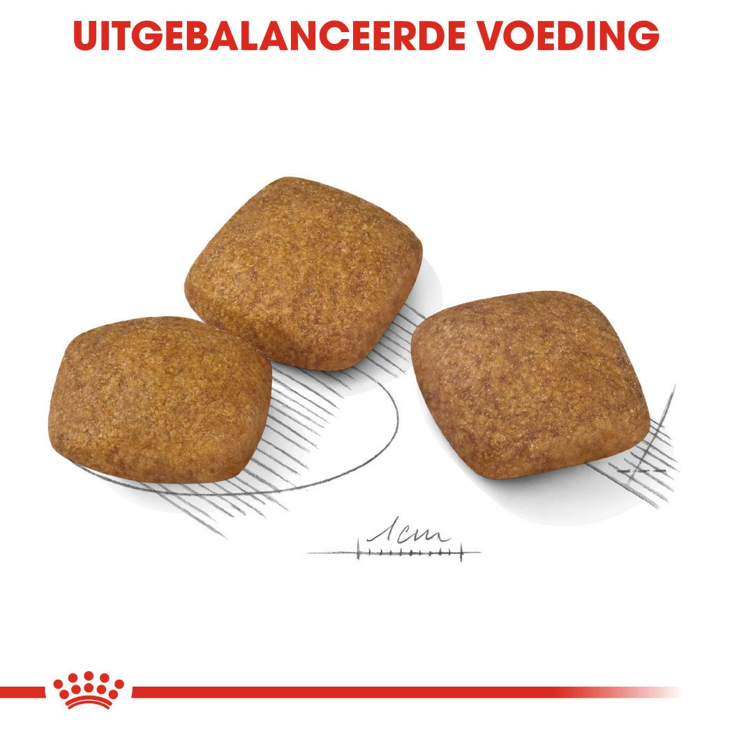 Royal Canin Hondenvoer Relax Care Maxi 9 Kg 4 Royal Canin Hondenvoer Relax Care Maxi 9 Kg - Afbeelding 2