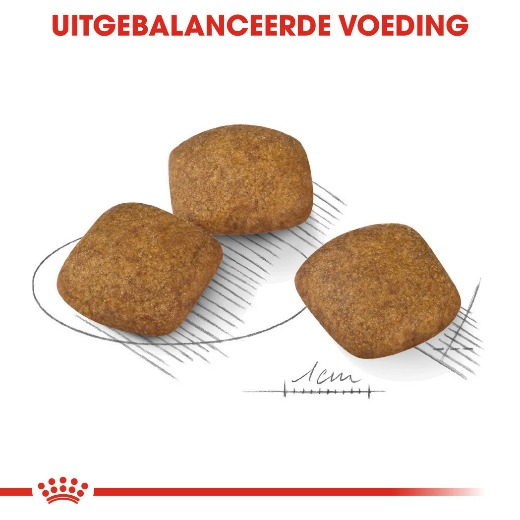 Royal Canin Hondenvoer Relax Care Medium 10 Kg 4 Royal Canin Hondenvoer Relax Care Medium 10 Kg - Afbeelding 2