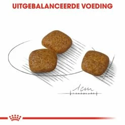 Royal Canin Hondenvoer Urinary Care Mini 8 Kg -Hond winkel royal canin urinary care mini extra zorg urinewegen volwassen kleine honden hero kibble