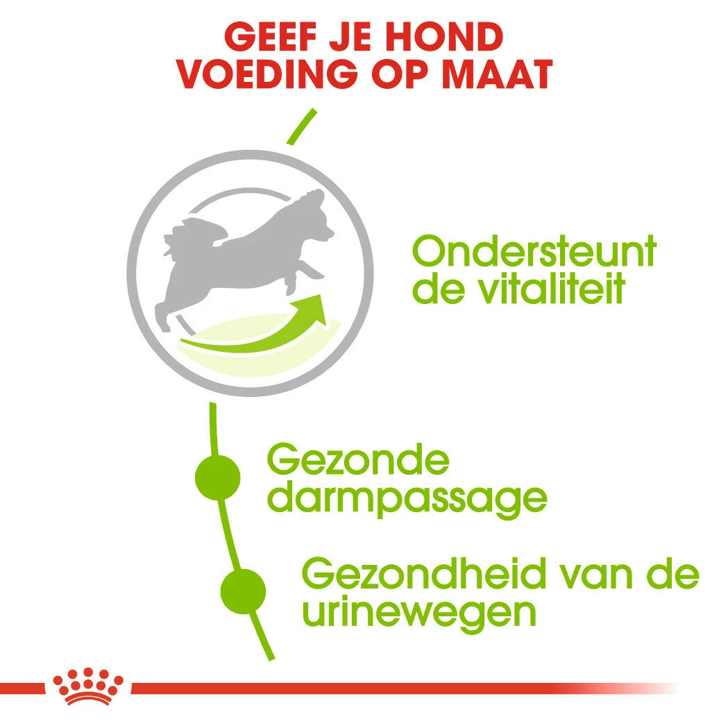 Royal Canin Hondenvoer X-Small Adult 8+ 3 Kg 5 Royal Canin Hondenvoer X-Small Adult 8+ 3 Kg - Afbeelding 3