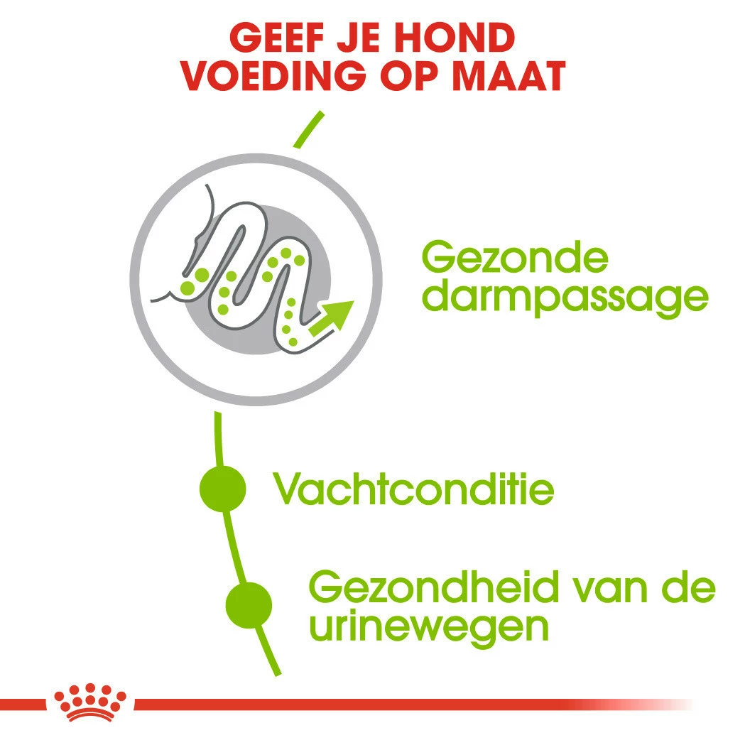 Royal Canin Hondenvoer X-Small Adult 8+ 1,5 Kg 5 Royal Canin Hondenvoer X-Small Adult 8+ 1,5 Kg - Afbeelding 3