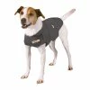 Thundershirt -Hond winkel thundershirt jackrussel