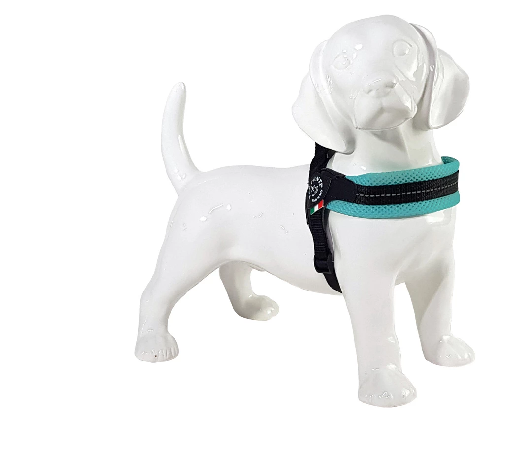 Tre Ponti Hondentuig Mesh Fibbia Reflective Verstelbaar Pastel Groen 3 Tre Ponti Hondentuig Mesh Fibbia Reflective Verstelbaar Pastel Groen