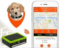 Weenect GPS Tracker Voor De Hond -Hond winkel weenect gps tracker app